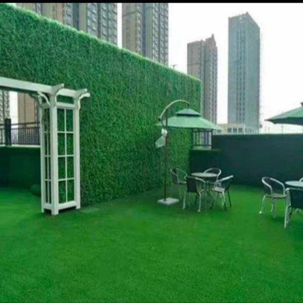 green house grass green house grass