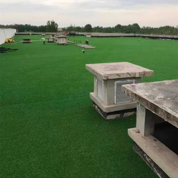 frontyard roof grass frontyard roof grass
