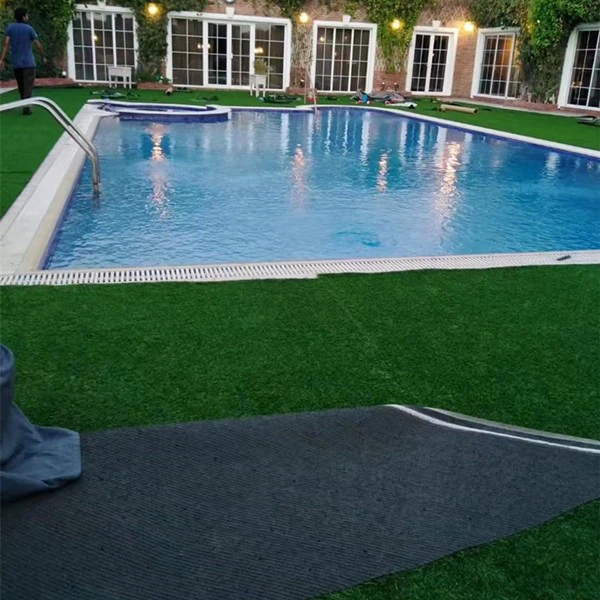 garden pool ground grass garden pool ground grass