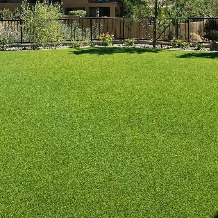 Beneficiile instalării SyntheticTurf